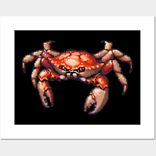 Pixel Crab Posters and Art